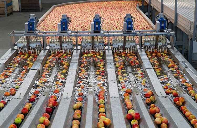 The process flow of the juice production line