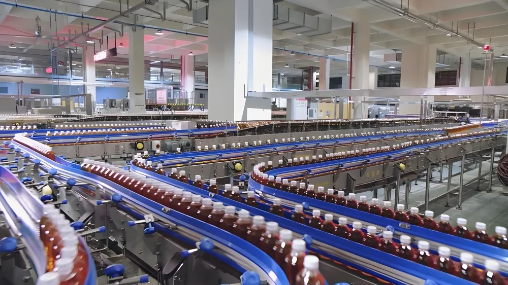 What It Takes to Scale an Energy Drink Production Line for Global Demand