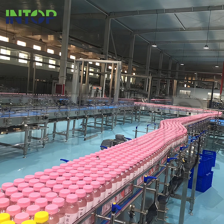 What Makes a Strawberry Juice Production Line Efficient, Safe, and Ready for Commercial Scale?