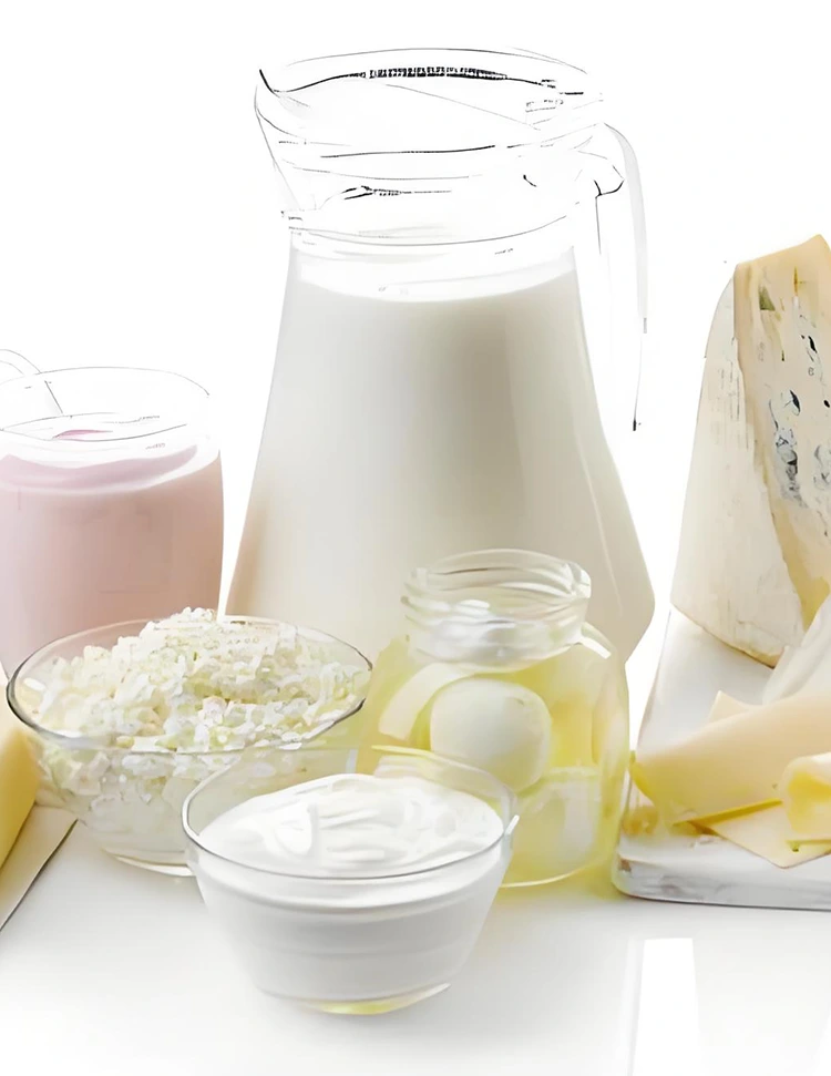 Dairy Industry