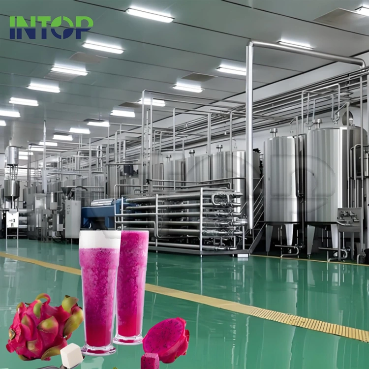Dragon Fruit Juice Production Line