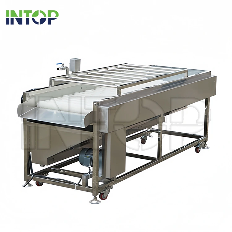 Fruit and Vegetable Brush Roller Washing Machine