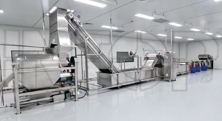 Pineapple Juice Production Line