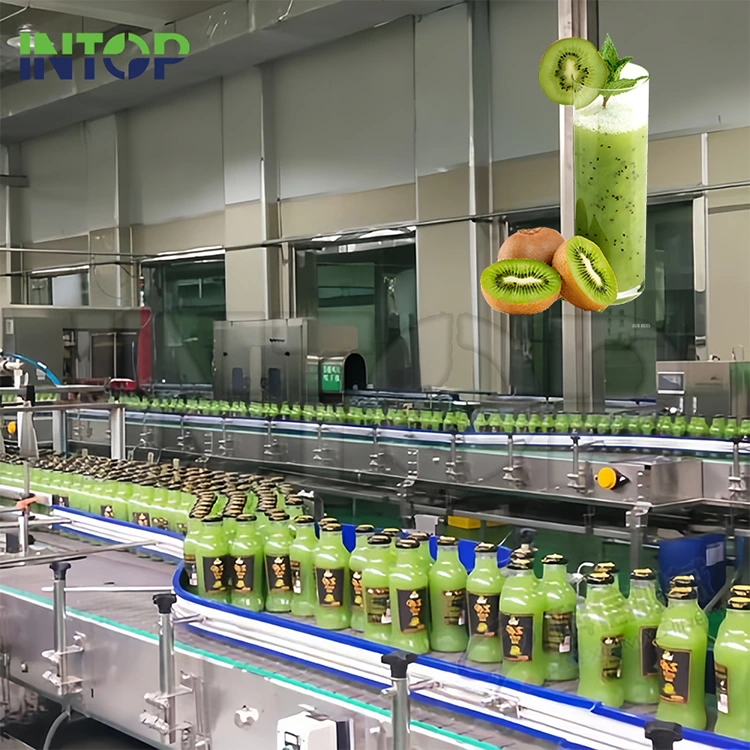 Kiwi Juice Production Line