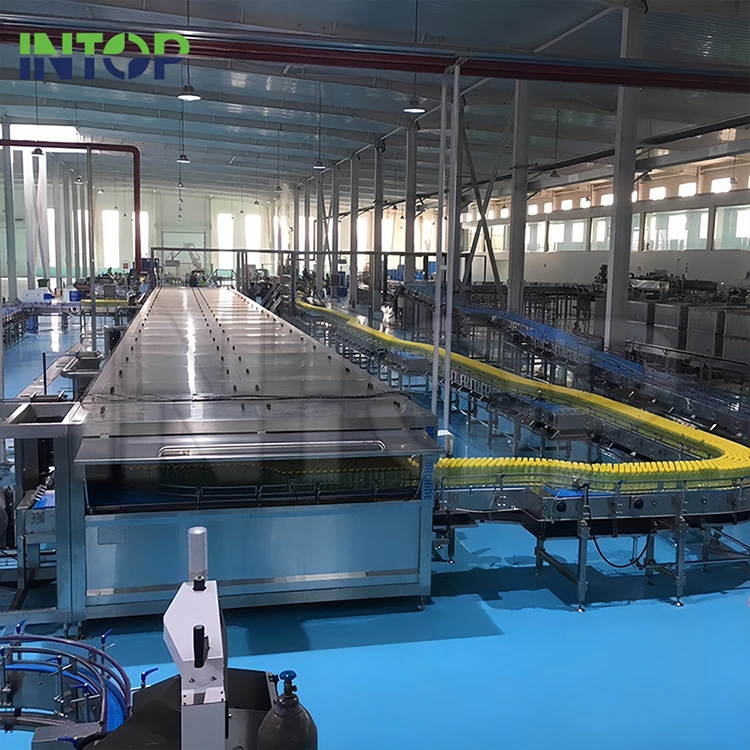 Mango Juice Production Line