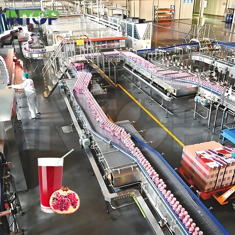 Pomegranate Juice Production Line