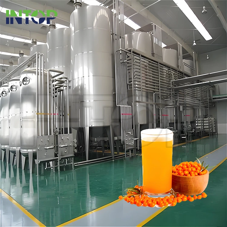 Sea Buckthorn Juice Production Line